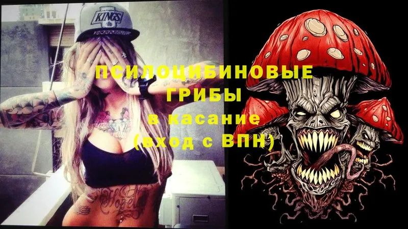 Галлюциногенные грибы Psilocybine cubensis Покачи